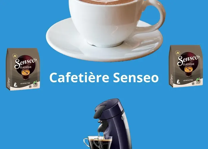 Daire L'evasion Carcassonnais Avec Terrasse 2 Places De Parking Privee *